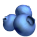 blueberries